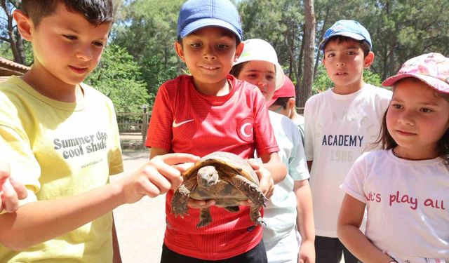 Minikler Antalya’da kaplumbağaları inceledi