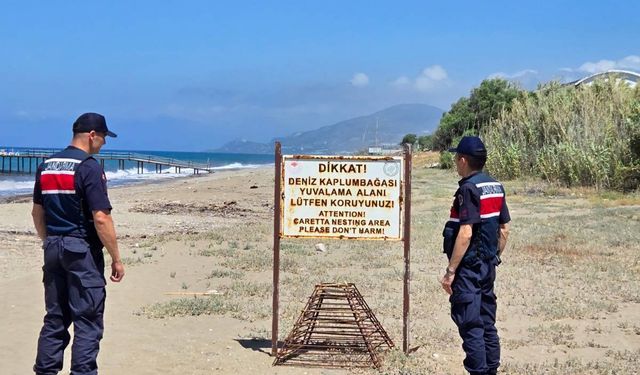 Alanya'da Carettalar koruma altında
