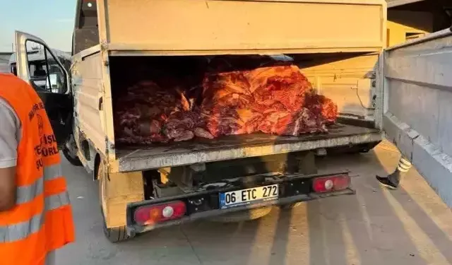 Görüntüler şoke etti: 3 ton ele geçirildi
