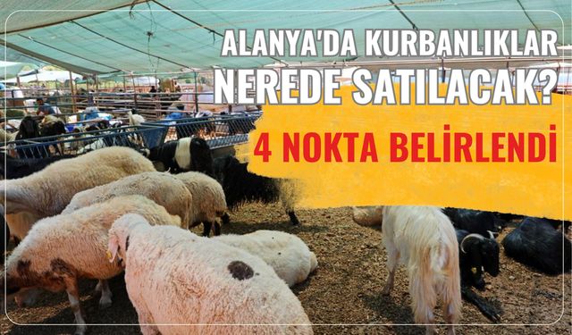 Alanya'da kurbanlıklar nerede satılacak? 4 nokta belirlendi