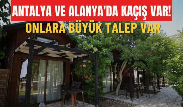 Antalya ve Alanya'da kaçış var! Onlara büyük talep var