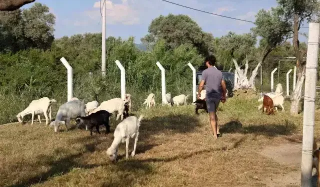İki üniversite bitirdi, yaptığı meslek şoke etti