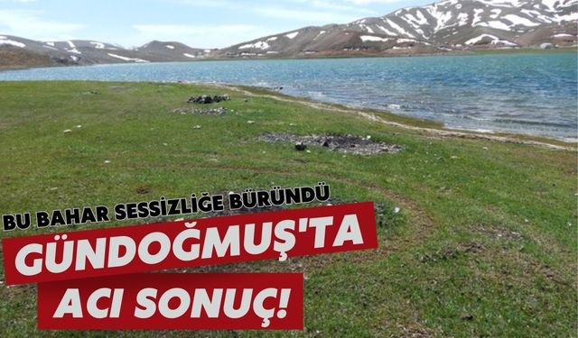 Gündoğmuş'ta acı sonuç: Bu bahar sessizliğe büründü