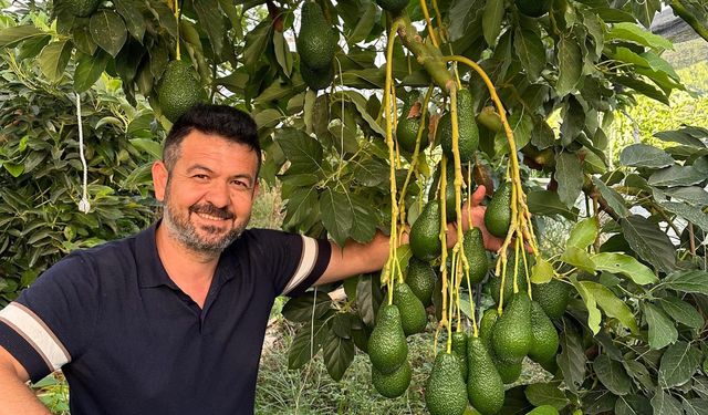 Alanya’da hal projesi krizi: AK Parti’den Toksöz’e yalanlama