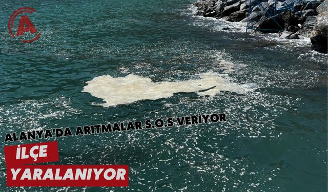 Alanya'da arıtmalar S.O.S veriyor: İlçe yaralanıyor