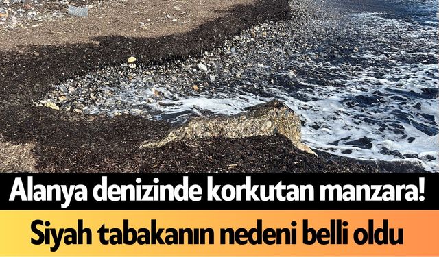 Alanya denizinde korkutan manzara! Siyah tabakanın nedeni belli oldu