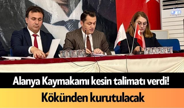 Alanya Kaymakamı kesin talimatı verdi! Kökünden kurutulacak