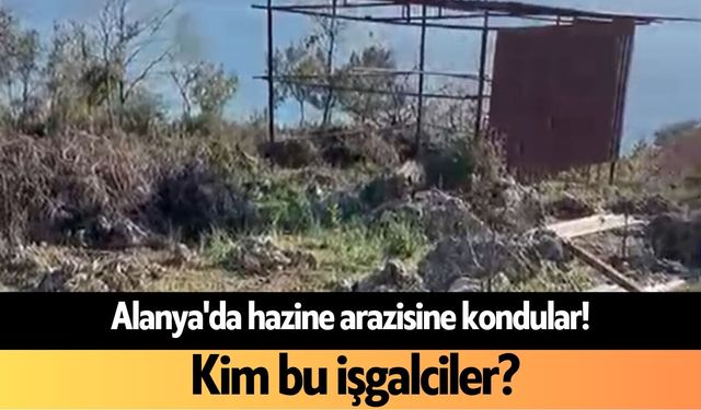 Alanya'da hazine arazisine kondular! Kim bu işgalciler?