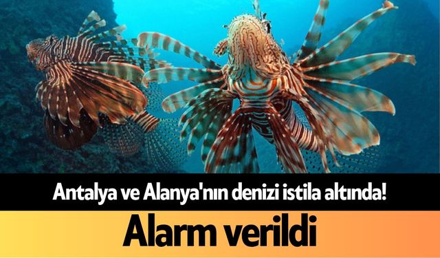 Antalya ve Alanya'nın denizi istila altında