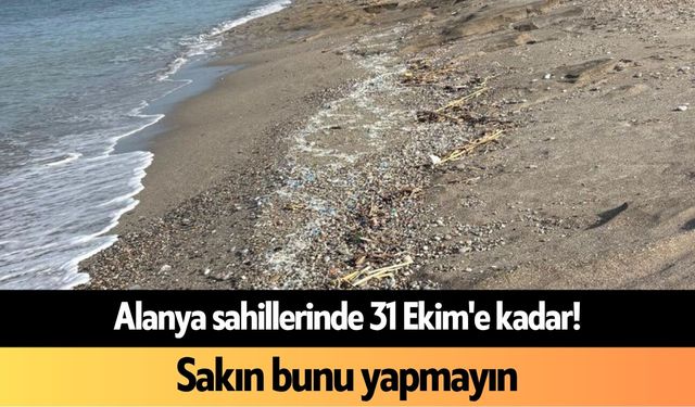 Alanya sahillerinde 31 Ekim'e kadar! Sakın bunu yapmayın