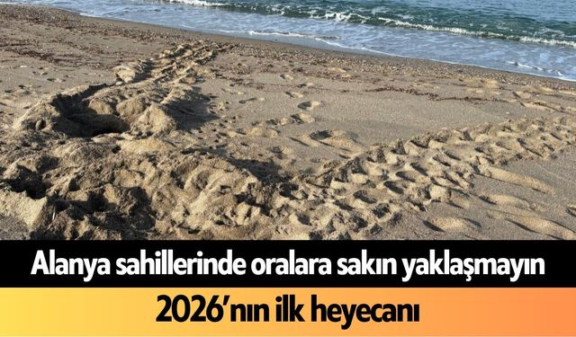 Alanya sahillerinde oralara sakın yaklaşmayın