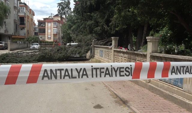 Antalya'da rüzgarın şiddeti mezarlıkta hasara neden oldu