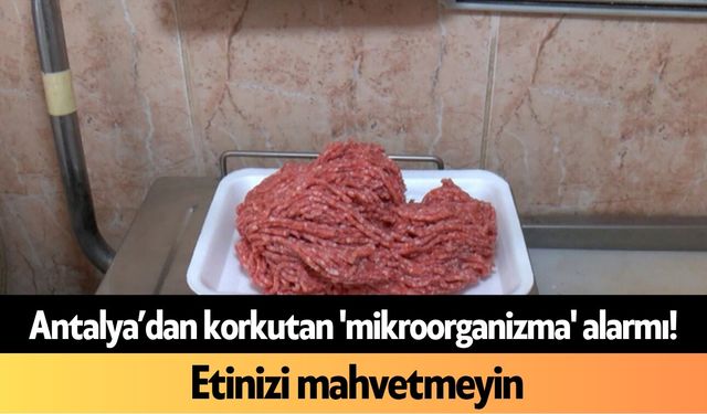 Antalya’dan korkutan 'mikroorganizma' alarmı! Etinizi mahvetmeyin