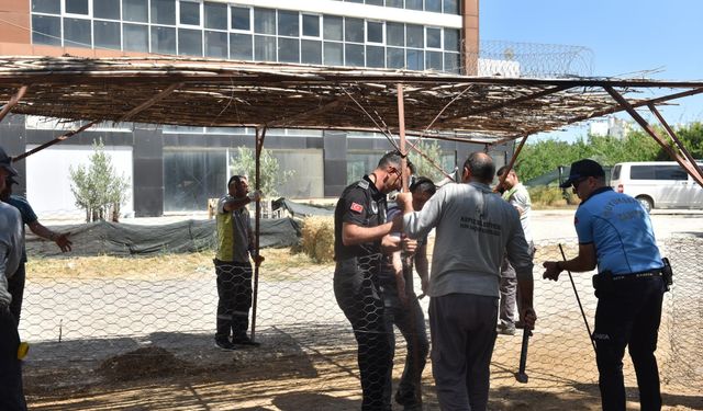 Antalya'da bayram öncesi hijyen denetimi