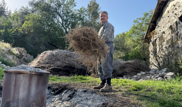 Toroslar'da şifa var:  31 farklı yağ üretiyor