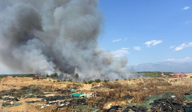 Son Dakika! Aksu'da orman yangını: Havadan karadan müdahale