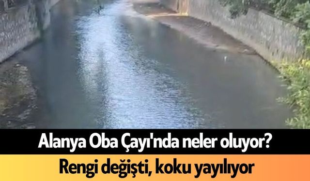 Alanya Oba Çayı'nda neler oluyor? Rengi değişti, koku yayılıyor