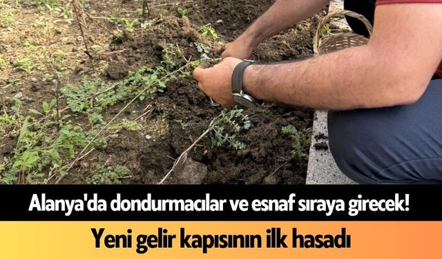 Alanya'da dondurmacılar ve esnaf sıraya girecek! Yeni gelir kapısının ilk hasadı