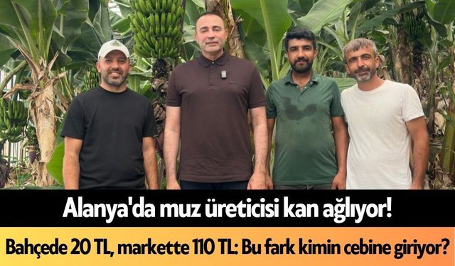 Alanya'da muz bahçede 20 TL, markette 110 TL: Bu fark kimin cebine giriyor?