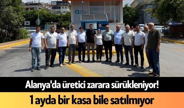 Alanya'da üretici zarara sürükleniyor! 1 ayda bir kasa bile satılmıyor