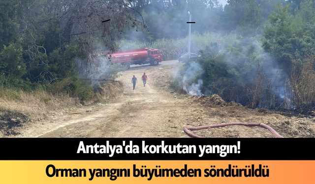 Antalya'da korkutan yangın! Orman yangını büyümeden söndürüldü
