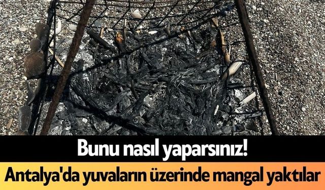 Bunu nasıl yaparsınız! Antalya'da yuvaların üzerinde mangal yaktılar
