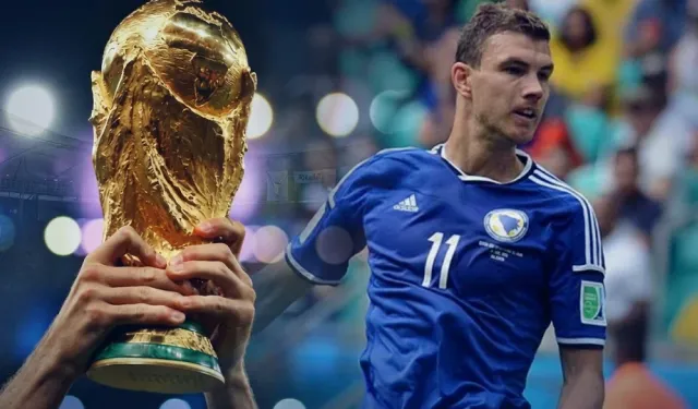 Kanada-Bosna Hersek maçında Edin Dzeko neden yok?