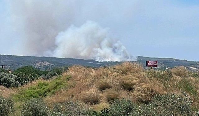 İzmir ve Muğla'da orman yangını! Ekipler harekete geçti