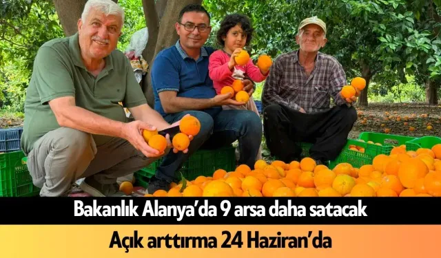 Narenciye üreticisi zor günlerden geçiyor