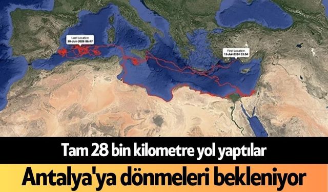 Tam 28 bin kilometre yol yaptılar, Antalya'ya dönmeleri bekleniyor