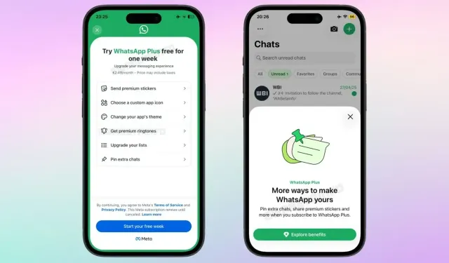 WhatsApp kullanıcı adı nasıl alınır, numara kalkıyor mu, kullanıcı adıyla herkes sizi bulabilecek mi?