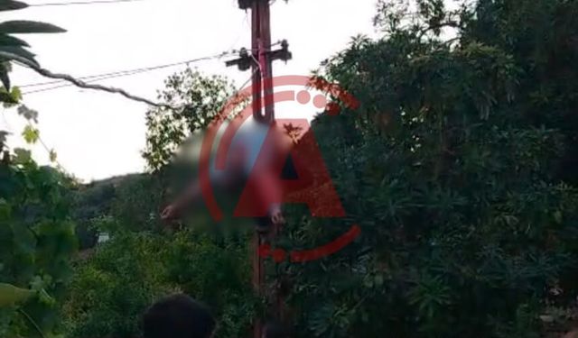 Son dakika: Alanya’da CK Elektrik personeli akıma kapılıp öldü!