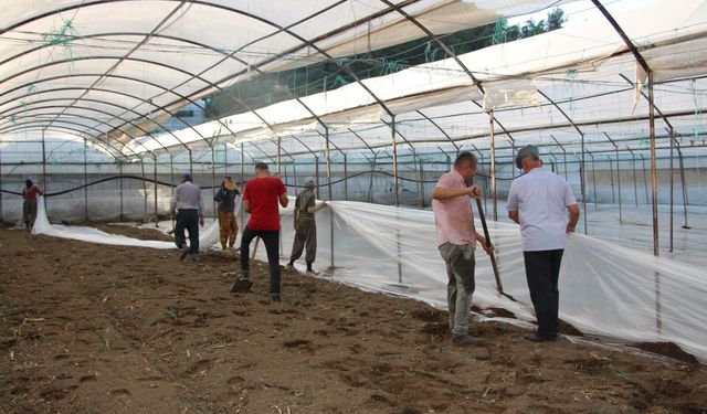 Antalya seralarında yeni dönem! Solarizasyon dönemi başladı