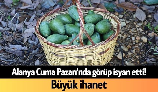 Alanya Cuma Pazarı'nda görüp isyan etti! Büyük ihanet