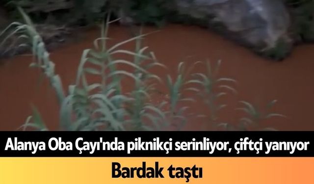 Alanya Oba Çayı'nda piknikçi serinliyor, çiftçi yanıyor: Bardak taştı