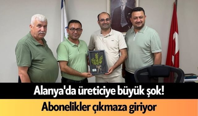 Alanya'da üreticiye büyük şok! Abonelikler çıkmaza giriyor