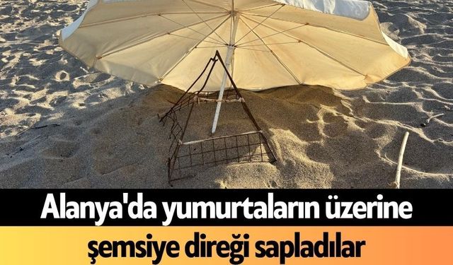 Alanya'da yumurtaların üzerine şemsiye direği sapladılar