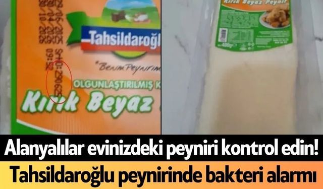 Alanyalılar evinizdeki peyniri kontrol edin! Tahsildaroğlu peynirinde bakteri alarmı