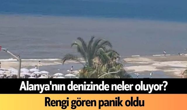 Alanya'nın denizinde neler oluyor?