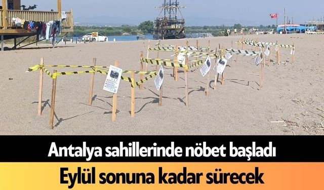Antalya sahillerinde nöbet başladı: Eylül sonuna kadar sürecek