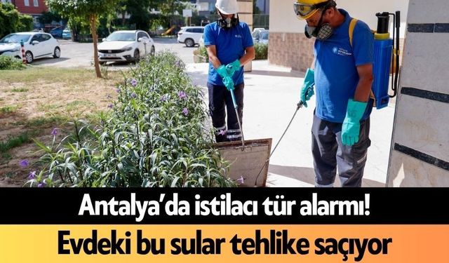 Antalya’da istilacı tür alarmı! Evdeki bu sular tehlike saçıyor