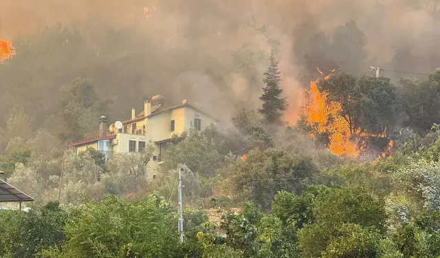 Son dakika l Muğla Fethiye'de orman yangını