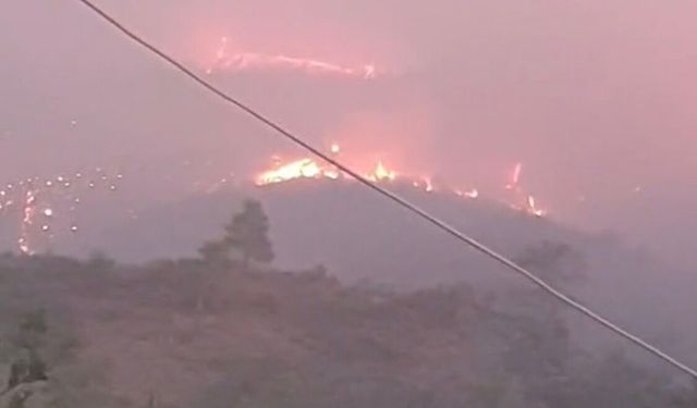 Son dakika l Alanya Sapadere'de yangın büyüyor