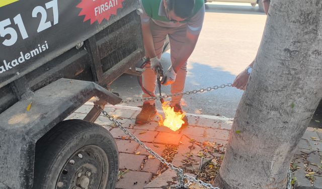 Kepez Sokaklarında Kaldırım Savaşı