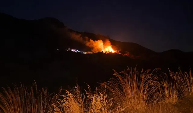 Marmaris yangınının nedeni belli oldu!