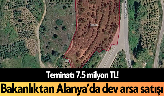 Teminatı 7.5 milyon TL! Bakanlıktan Alanya’da dev arsa satışı