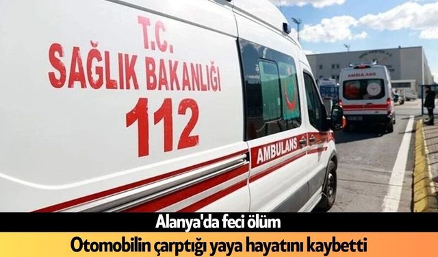Manavgat'ta ortalık karıştı: İşçiler birbirine girdi