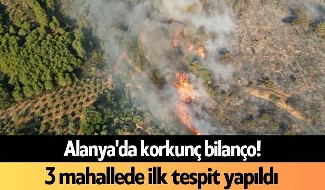 Alanya'da korkunç bilanço! 3 mahallede ilk tespit yapıldı