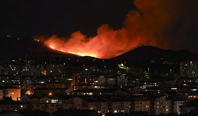Son dakika l Ankara Mamak'ta ağaçlık alanda yangın çıktı
