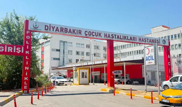 Diyarbakır’da kuduz alarmı